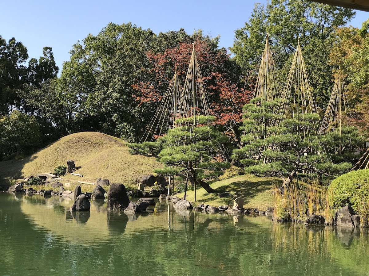 池畔草皮與松樹雪吊景觀