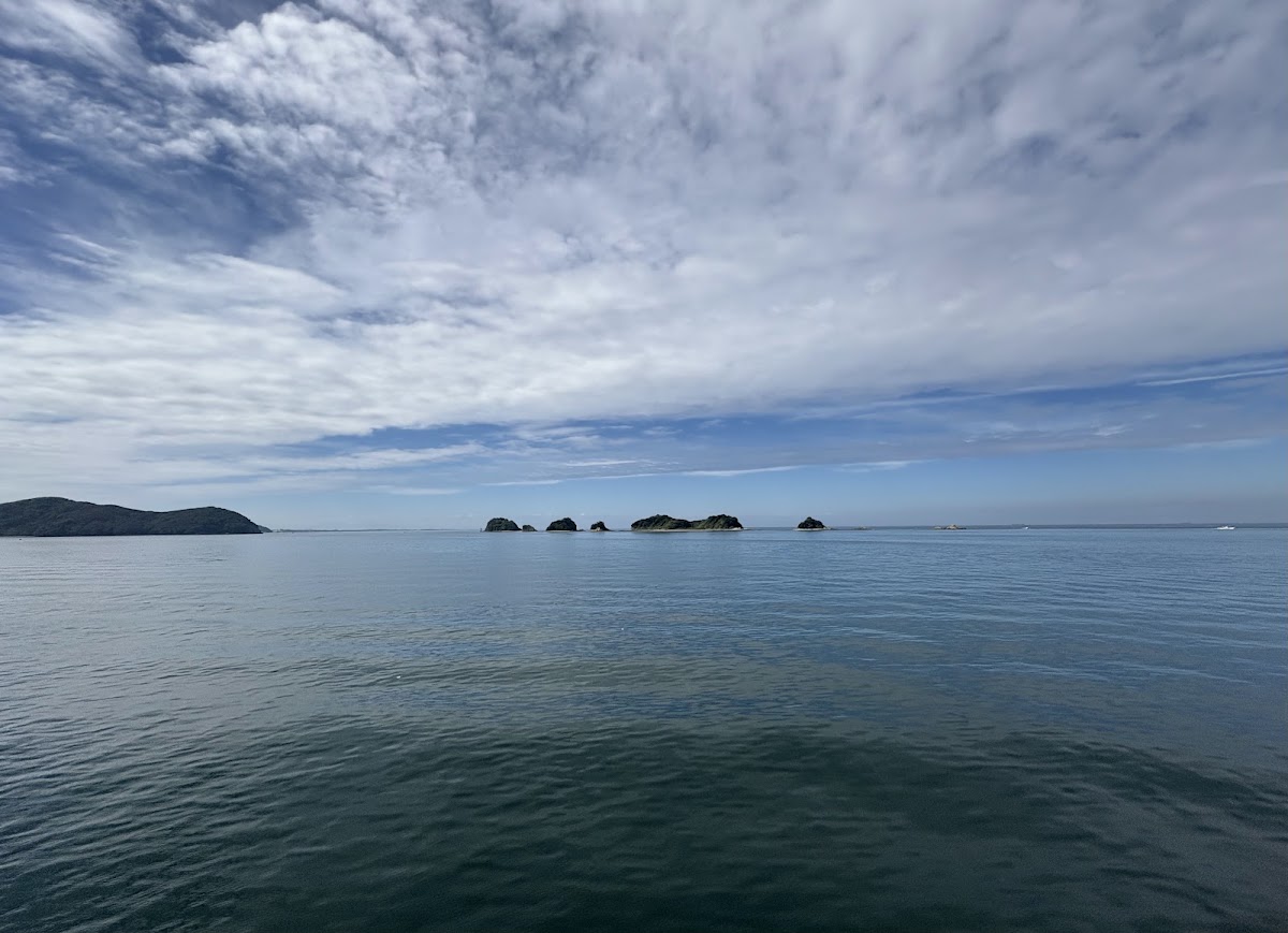 鳥羽灣遊覽船與海豚島(鳥羽湾めぐりとイルカ島) 實景照片 1
