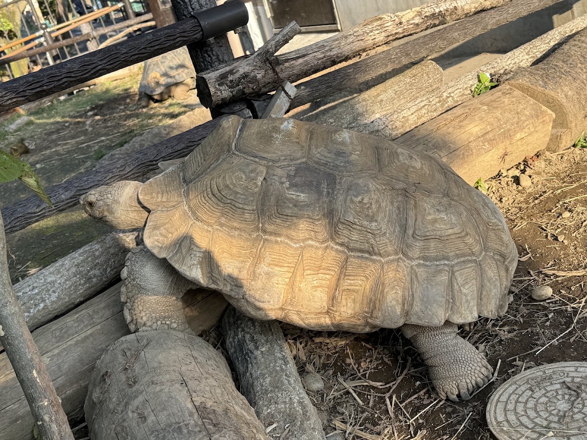 日立神峰公園(日立かみね公園) 實景照片 10