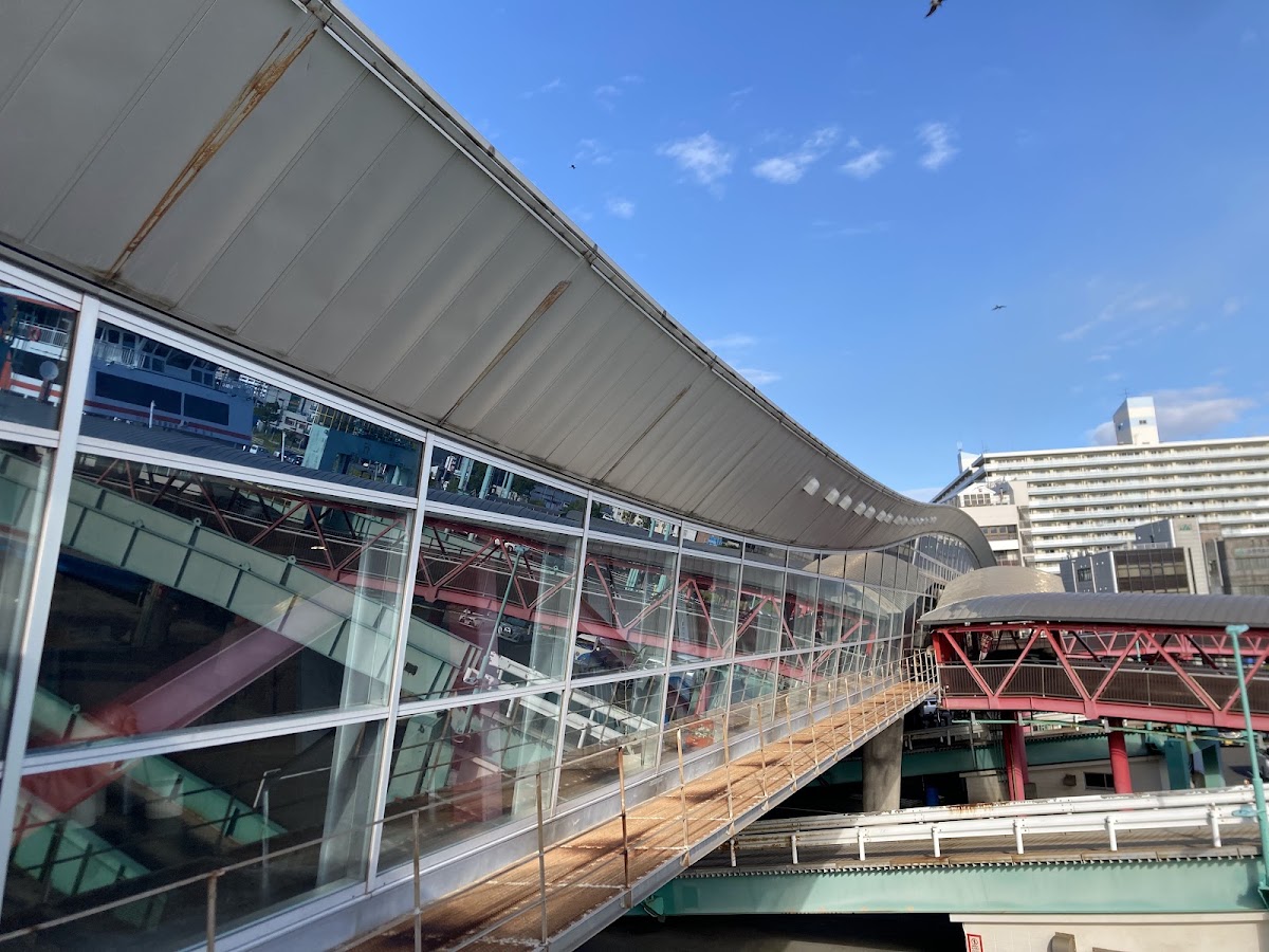 鹿兒島港(鹿児島港) 實景照片 5