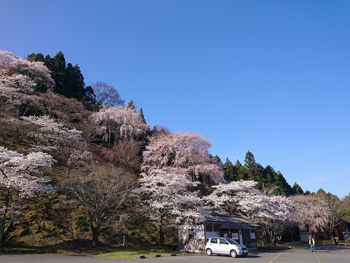 吉野山 實景照片 5