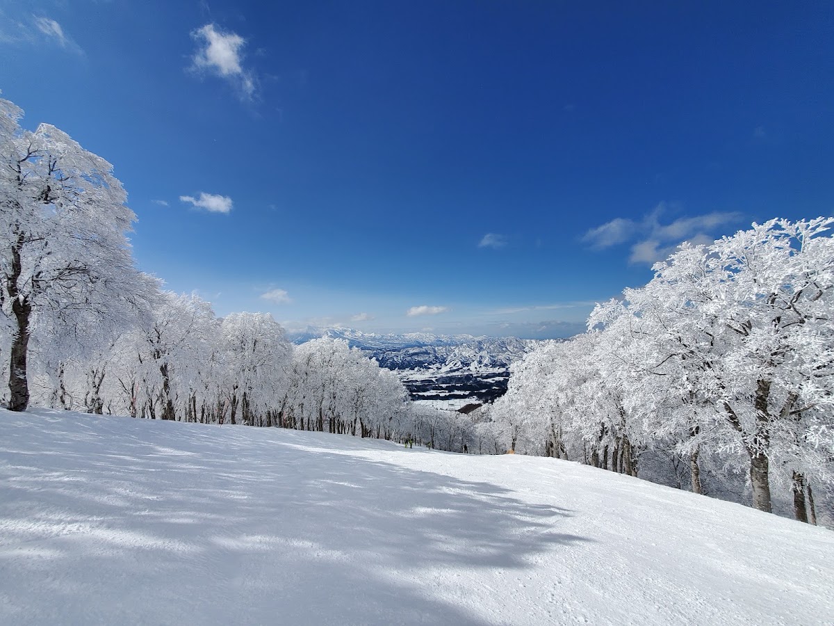 野澤溫泉滑雪場（野沢温泉スキー場） 實景照片 5
