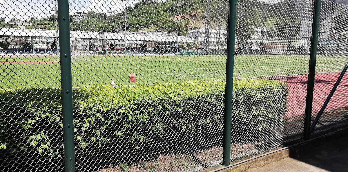 和宜合道運動場停車場 實景照片 8