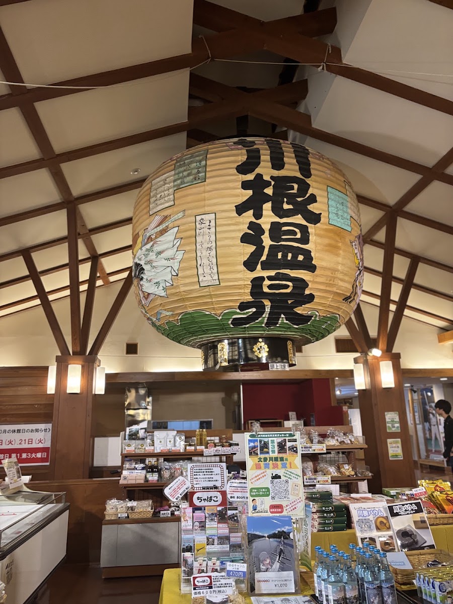 道之驛 川根溫泉（道の駅 川根温泉） 實景照片 8