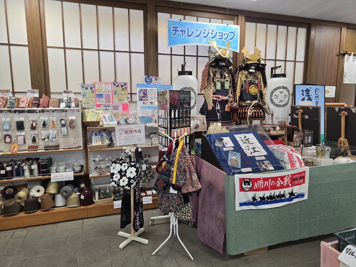 道之驛 淺井三姊妹之鄉(道の駅 浅井三姉妹の郷) 實景照片 1