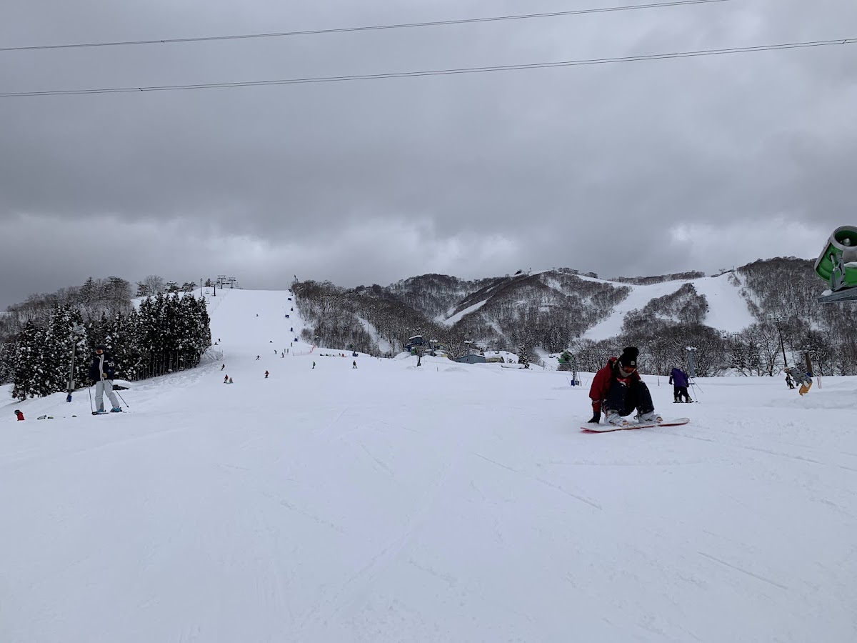 Dynaland滑雪場(ダイナランド) 實景照片 6