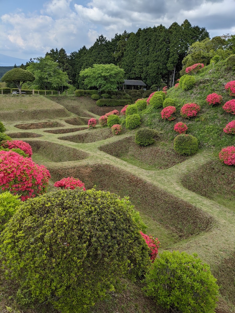 山中城 實景照片 1