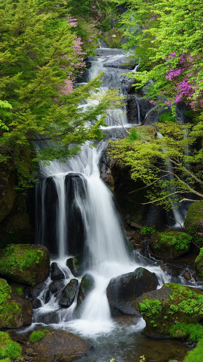 龍頭瀑布(竜頭の滝) 實景照片 10