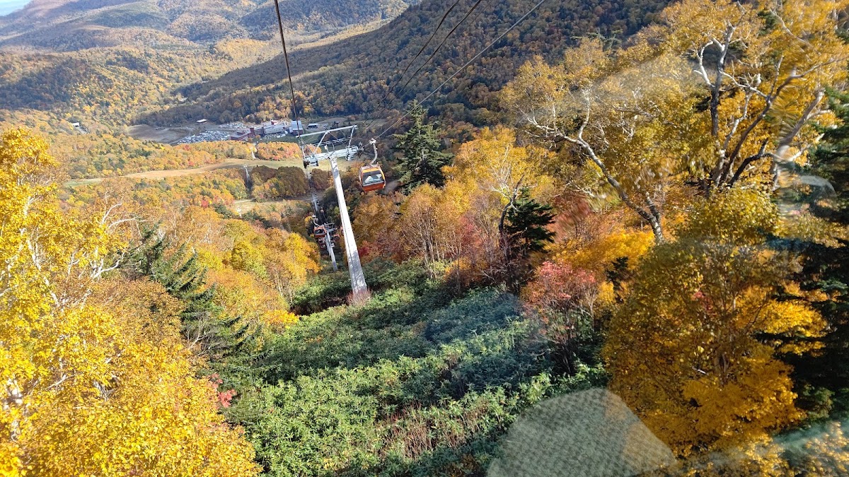 秋季楓紅山林與纜車景色