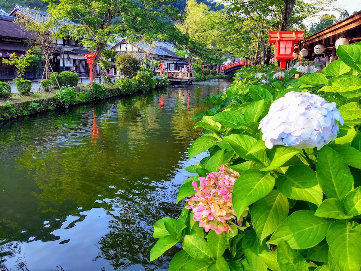 日光江戶村(江戸ワンダーランド 日光江戸村) 實景照片 4