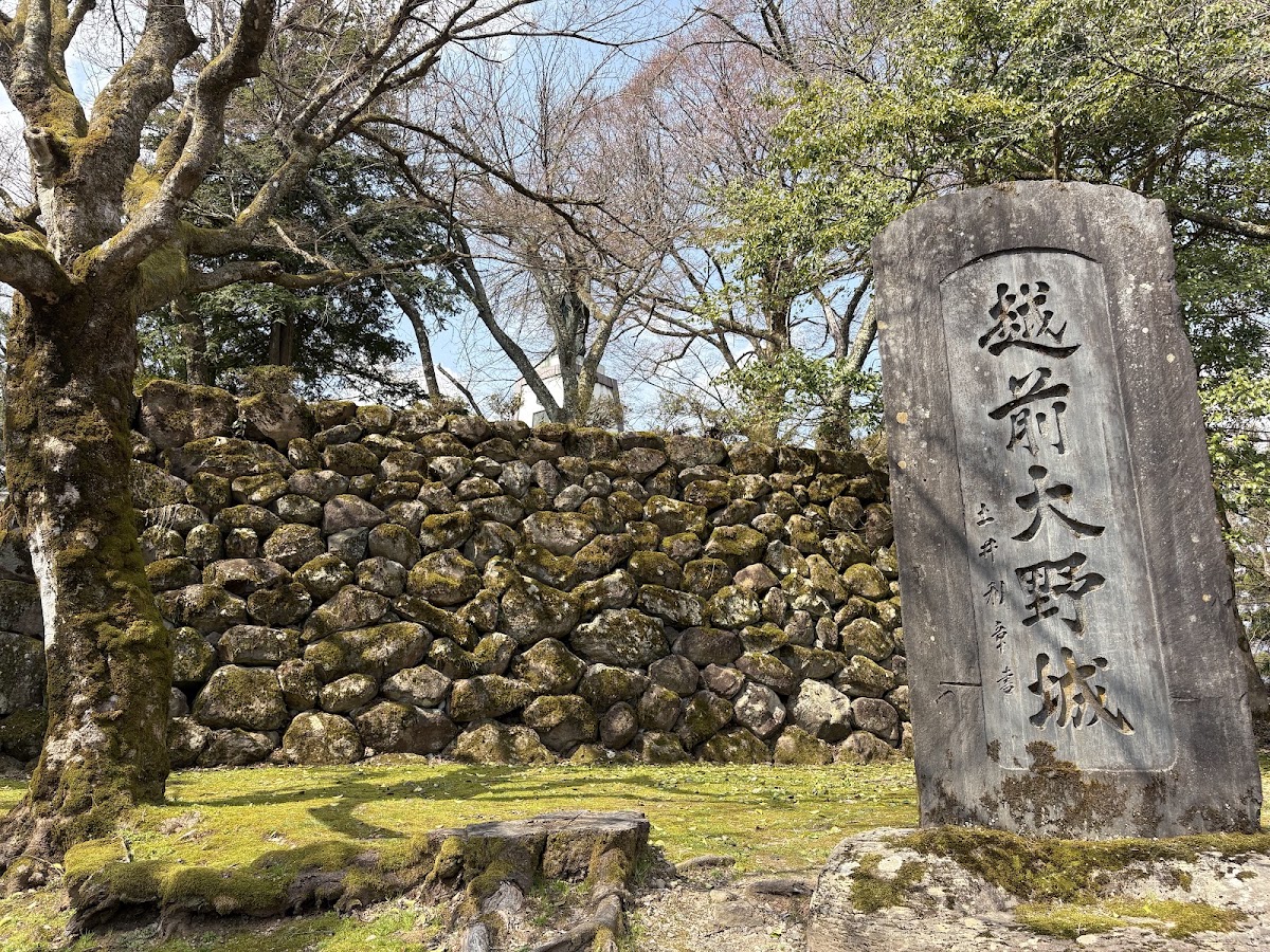越前大野城 實景照片 5