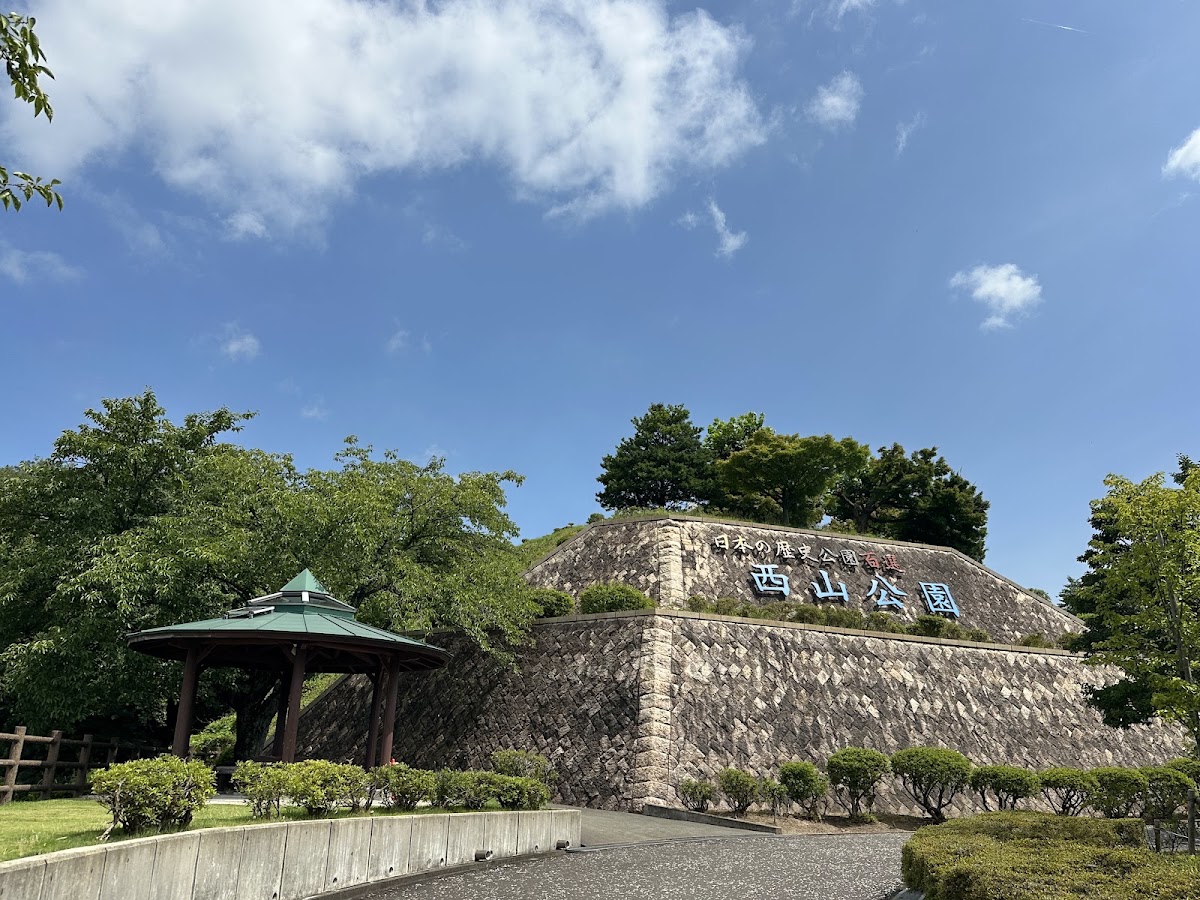 道之驛 西山公園(道の駅 西山公園) 實景照片 4
