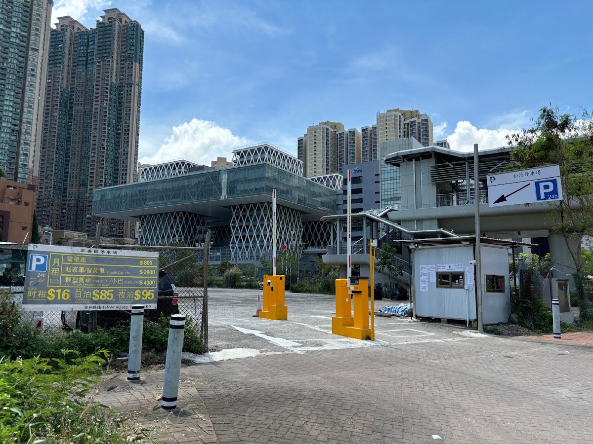 將軍澳翠善街停車場 實景照片 3