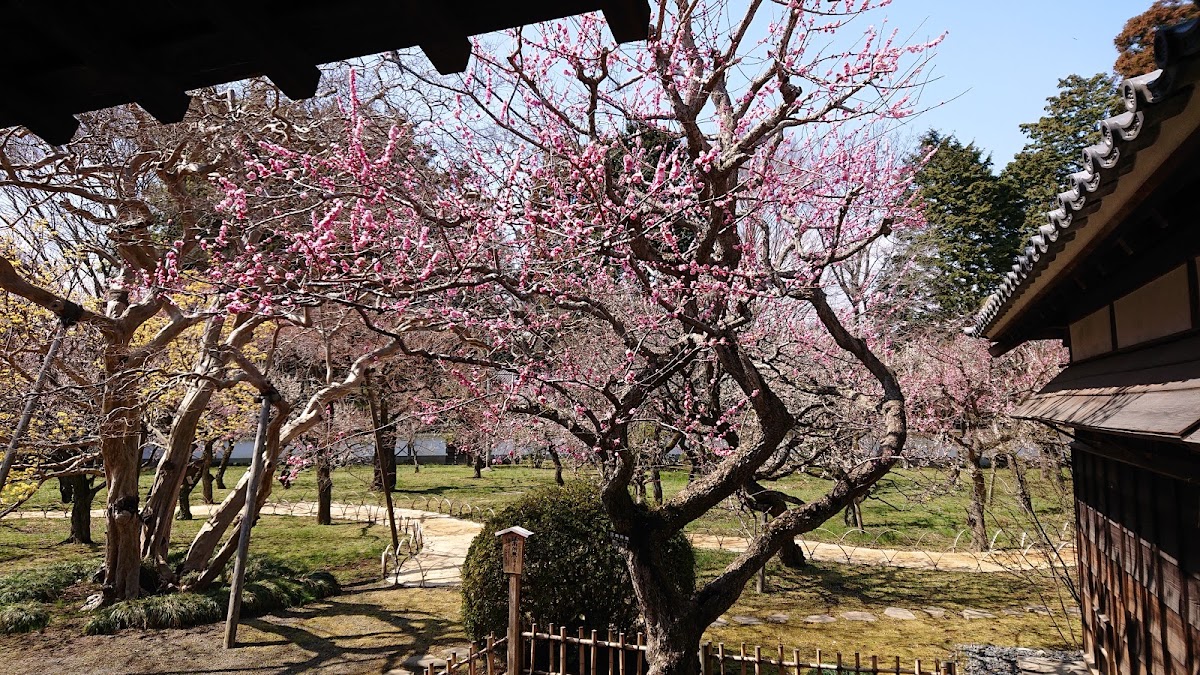 弘道館 實景照片 8