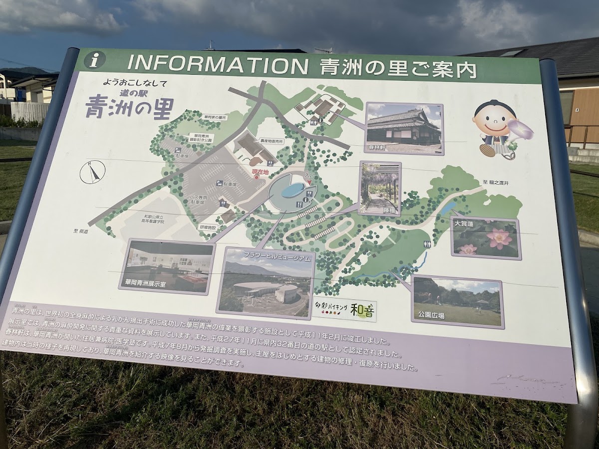 道之驛 青洲之里（道の駅 青洲の里） 實景照片 7