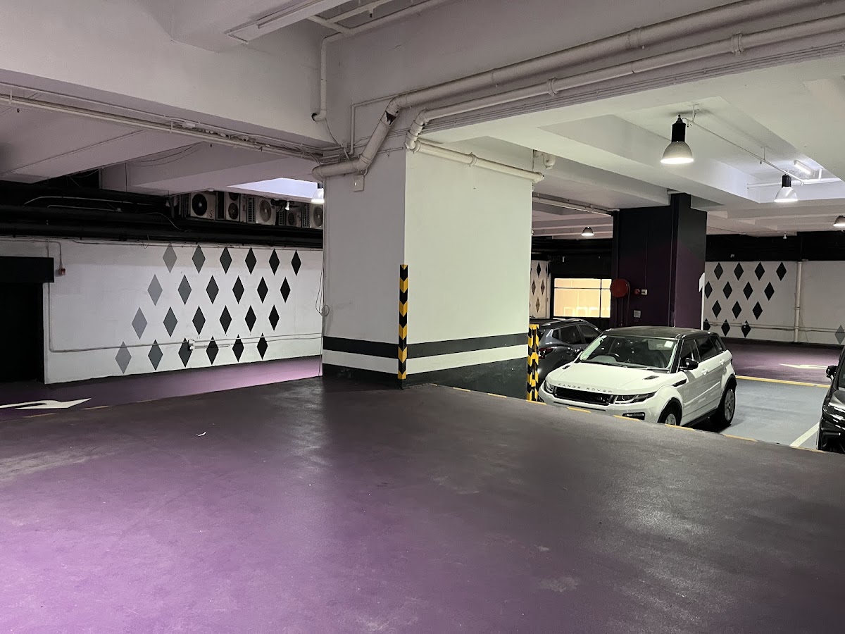 新海怡廣場 Horizon Plaza 停車場 實景照片 6