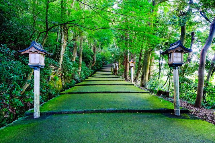 神社綠意盎然的青苔石階參道