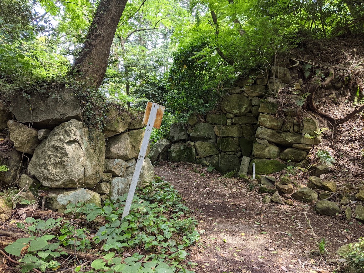 森林中的古城石垣遺跡