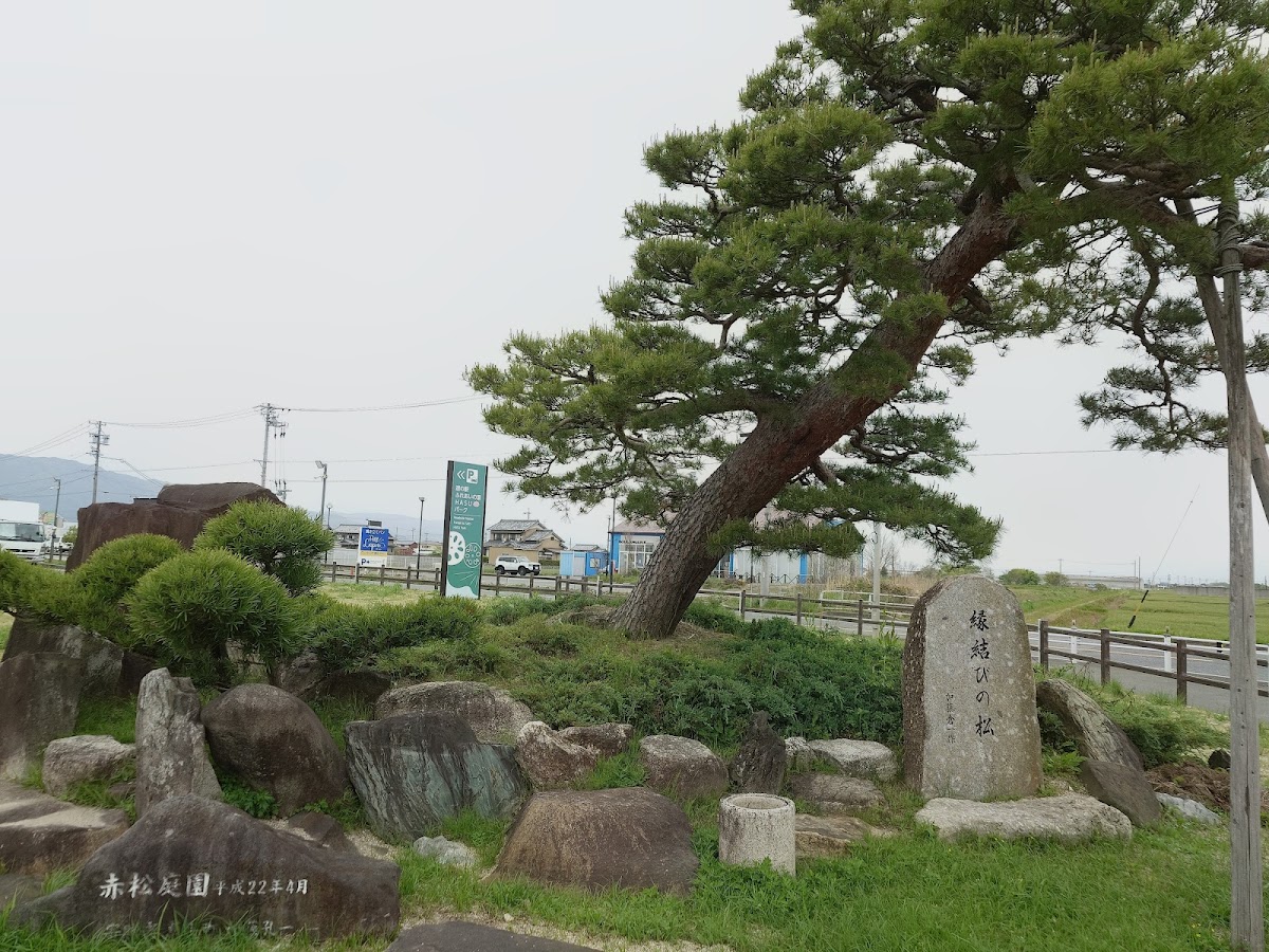 道之驛 觸愛之里HASU Park(道の駅 ふれあいの里HASUパーク) 實景照片 2