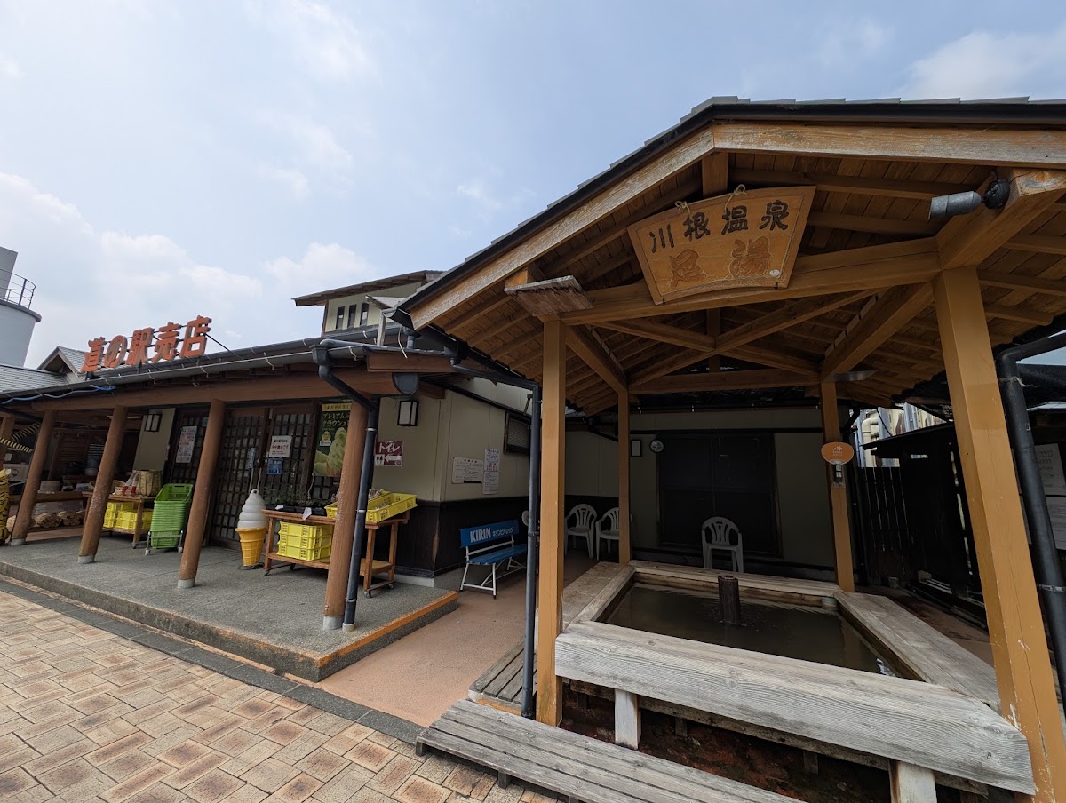 道之驛 川根溫泉（道の駅 川根温泉） 實景照片 10
