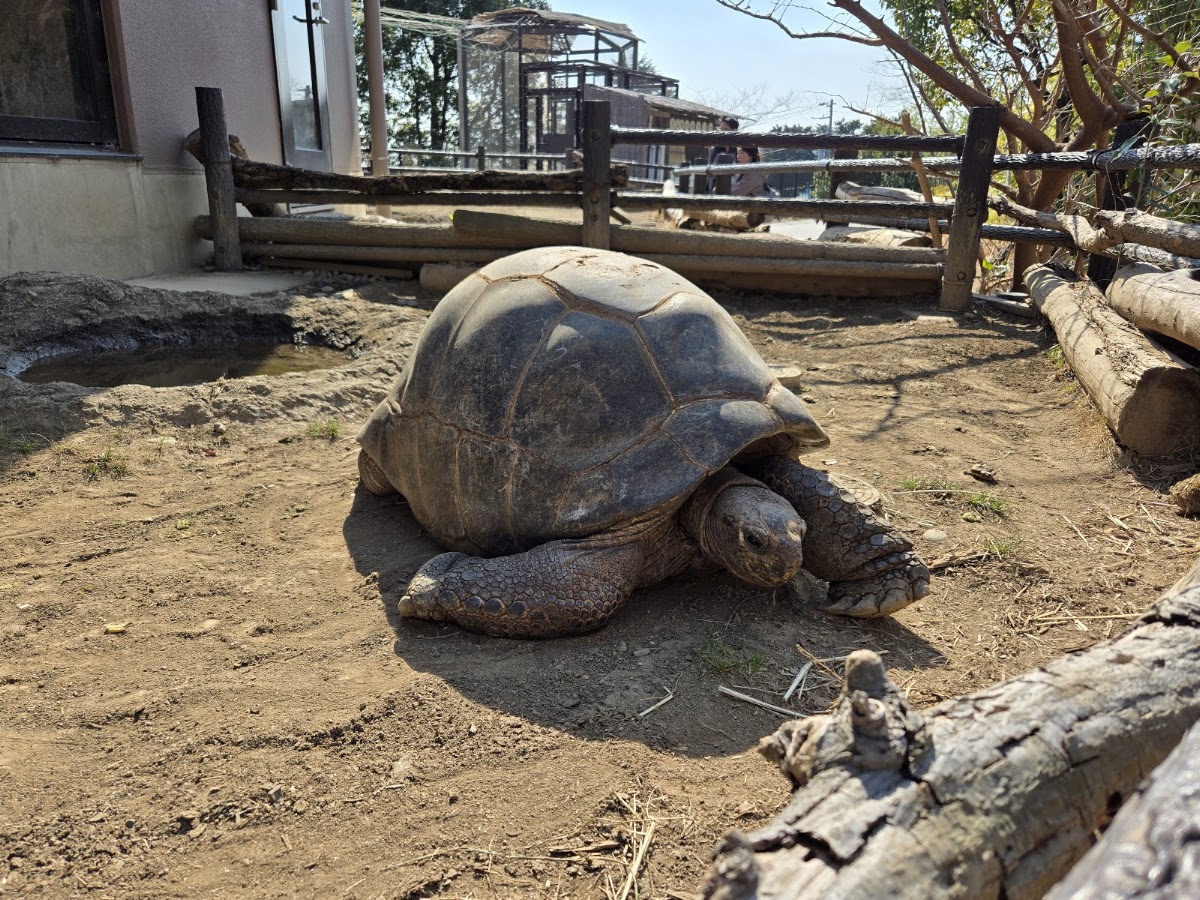 日立市神峰動物園（日立市かみね動物園） 實景照片 7