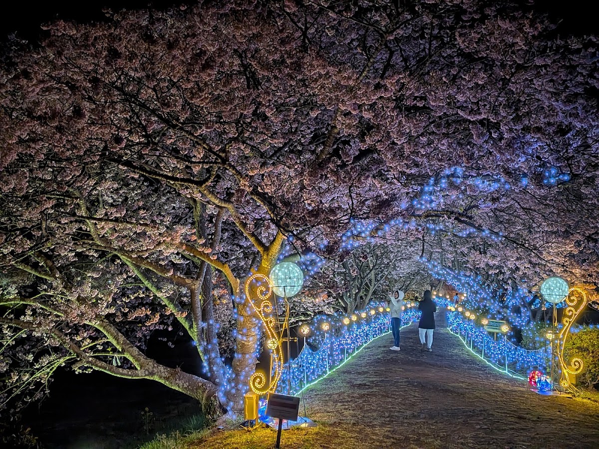 道之驛 下賀茂溫泉 湯之花(道の駅 下賀茂温泉 湯の花) 實景照片 6