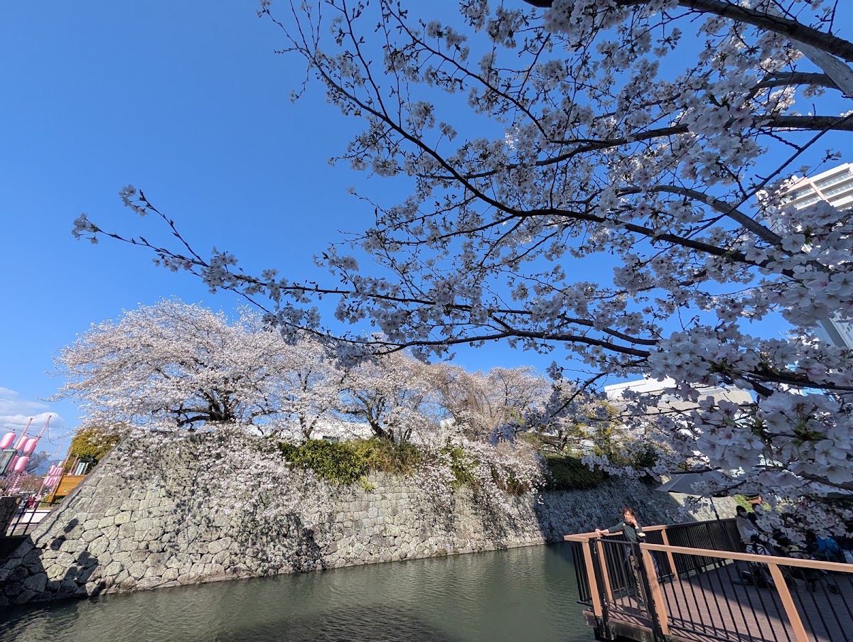 駿府城 實景照片 9