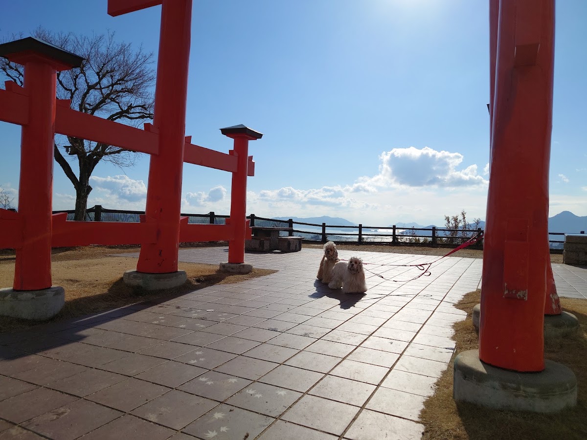 宮島服務區(宮島SA) 實景照片 8