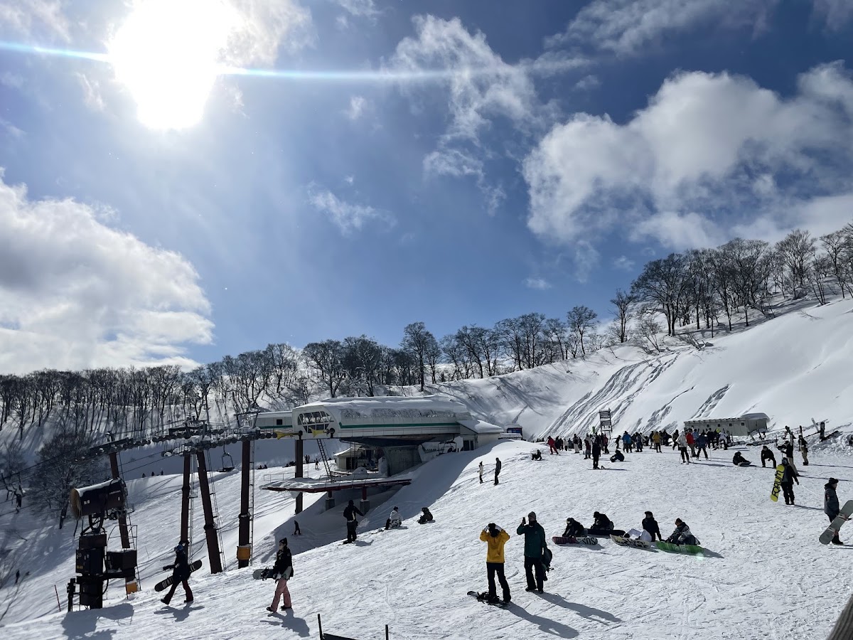 高鷲Snow Park(高鷲スノーパーク) 實景照片 8