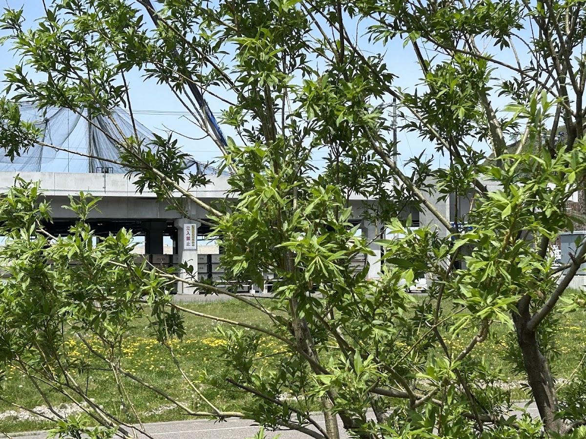 宇登呂溫泉(ウトロ温泉)
