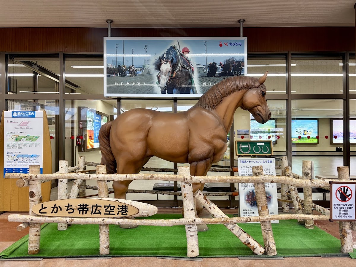 帶廣機場 OBO(とかち帯広空港) 實景照片 1