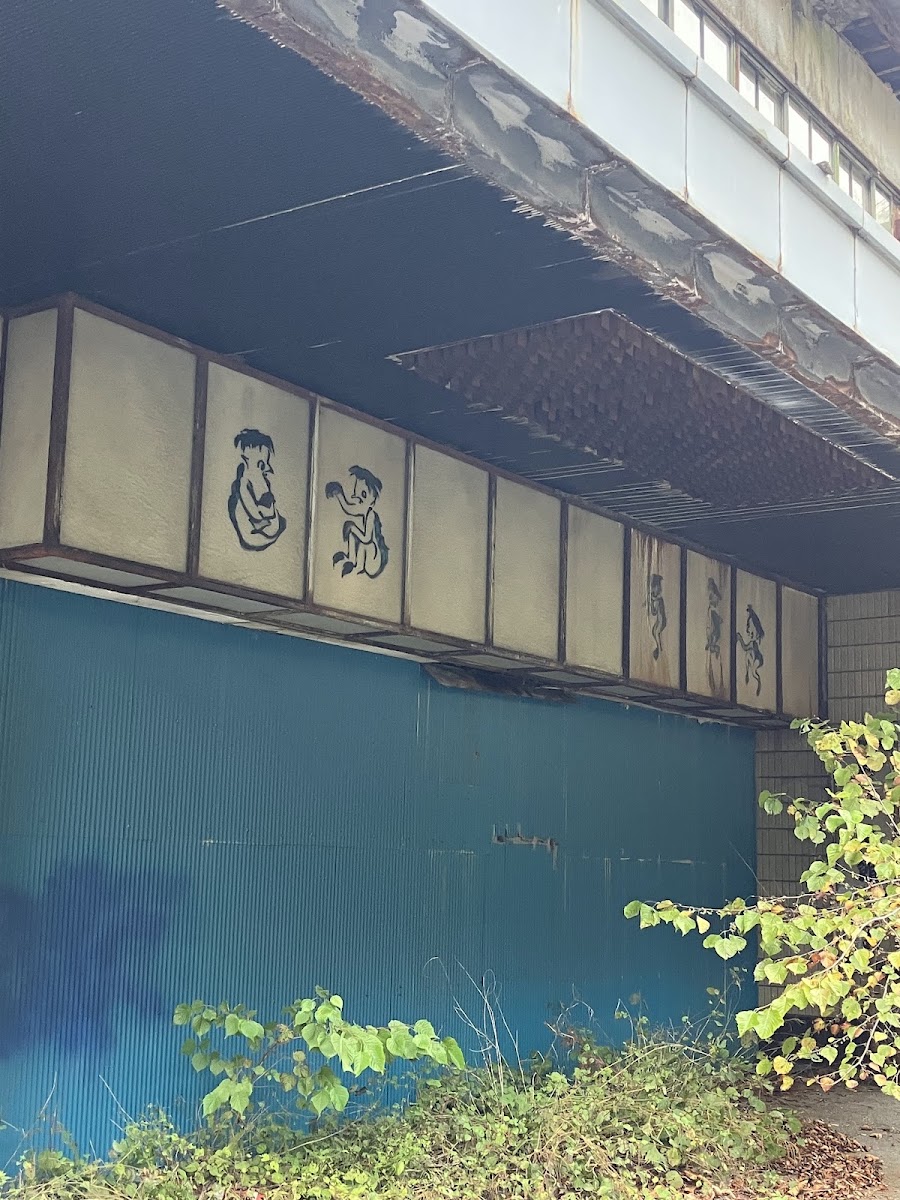 鬼怒川溫泉(鬼怒川温泉) 實景照片 7