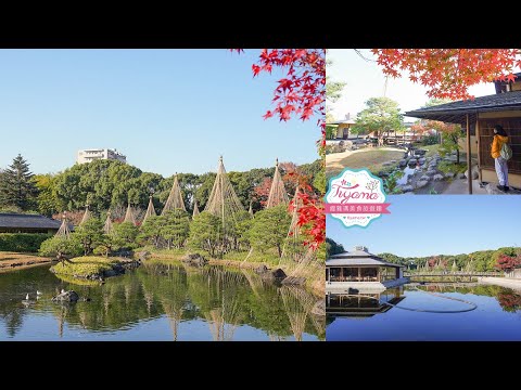 東海地區最大的迴遊池沼式日本庭園「白鳥庭園」名古屋賞楓之旅!!