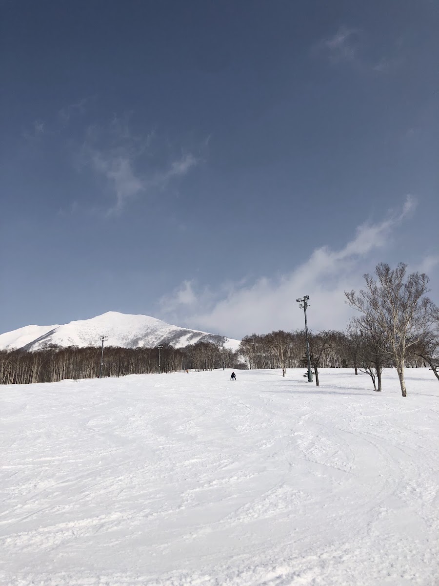 新雪谷安努普利國際滑雪場（ニセコアンヌプリ国際スキー場） 實景照片 5