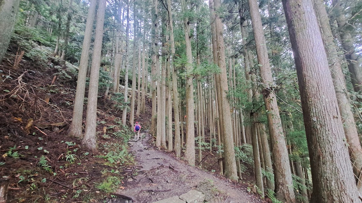 道之驛 熊野古道中邊路(道の駅 熊野古道中辺路) 實景照片 8