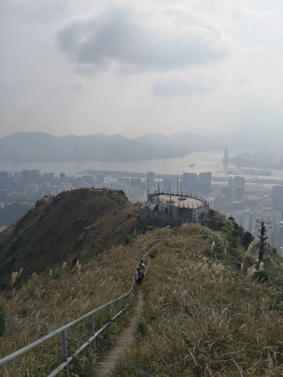 順緻苑停車場 實景照片 9