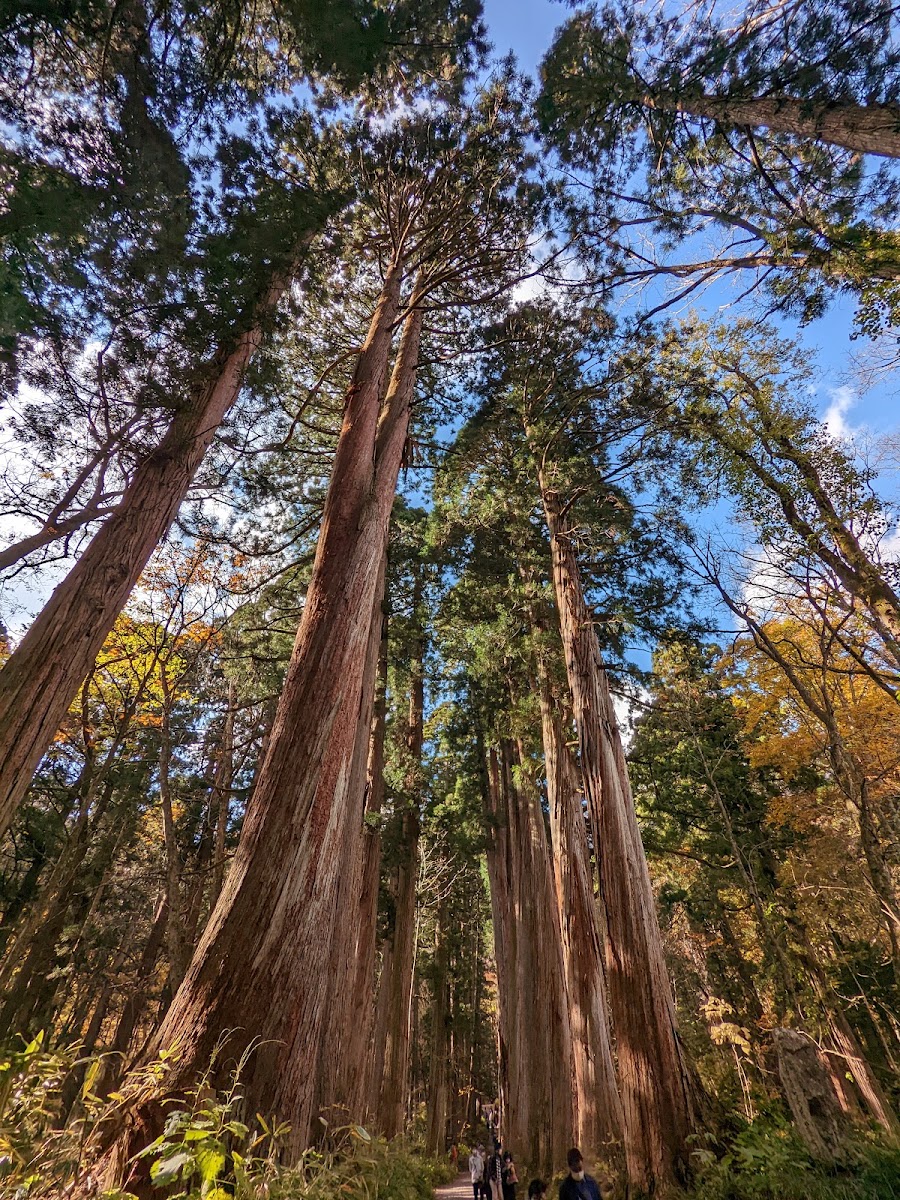 妙高戶隱連山國家公園(妙高戸隠連山国立公園) 實景照片 1