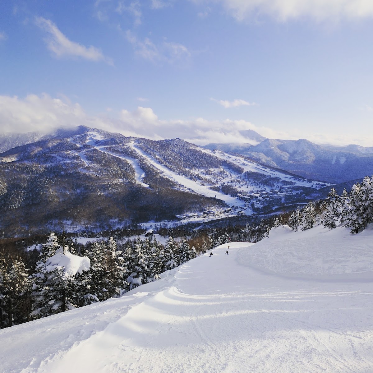 志賀高原燒額山滑雪場（志賀高原 焼額山スキー場） 實景照片 8
