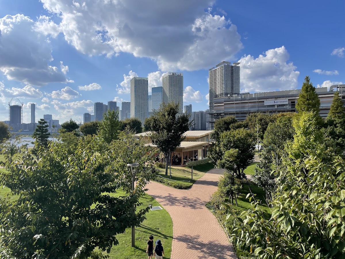 藍瓶咖啡 豐洲公園店（ブルーボトルコーヒー 豊洲公園カフェ） 實景照片 10