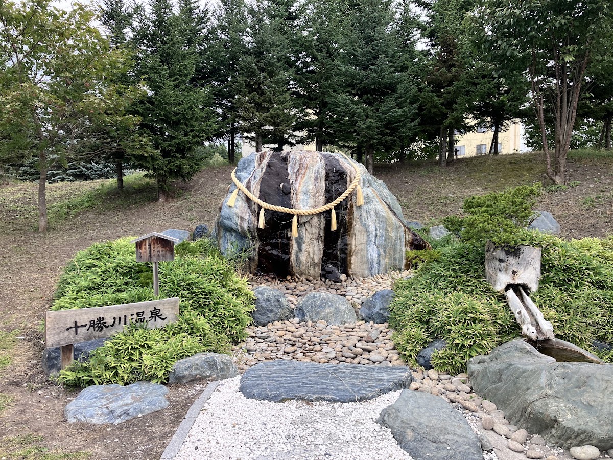 道之驛 ガーデンスパ十勝川溫泉(道の駅 ガーデンスパ十勝川温泉) 實景照片 6