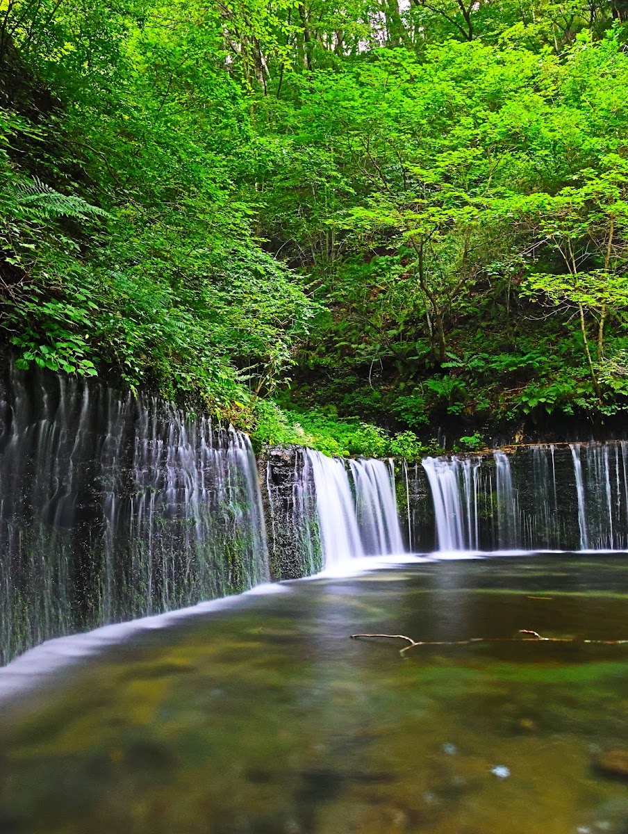 輕井澤 白絲瀑布（軽井沢 白糸の滝） 實景照片 10