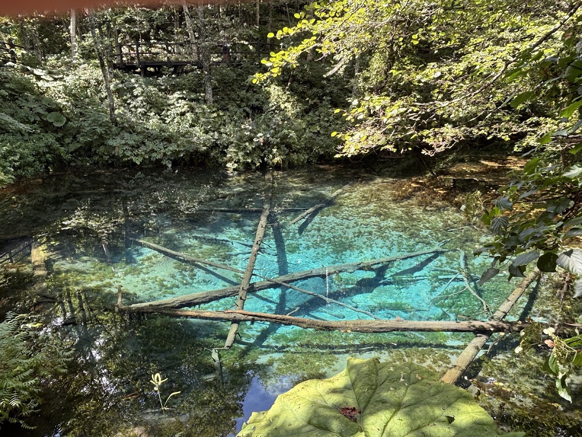 阿寒摩周國家公園（阿寒摩周国立公園） 實景照片 4