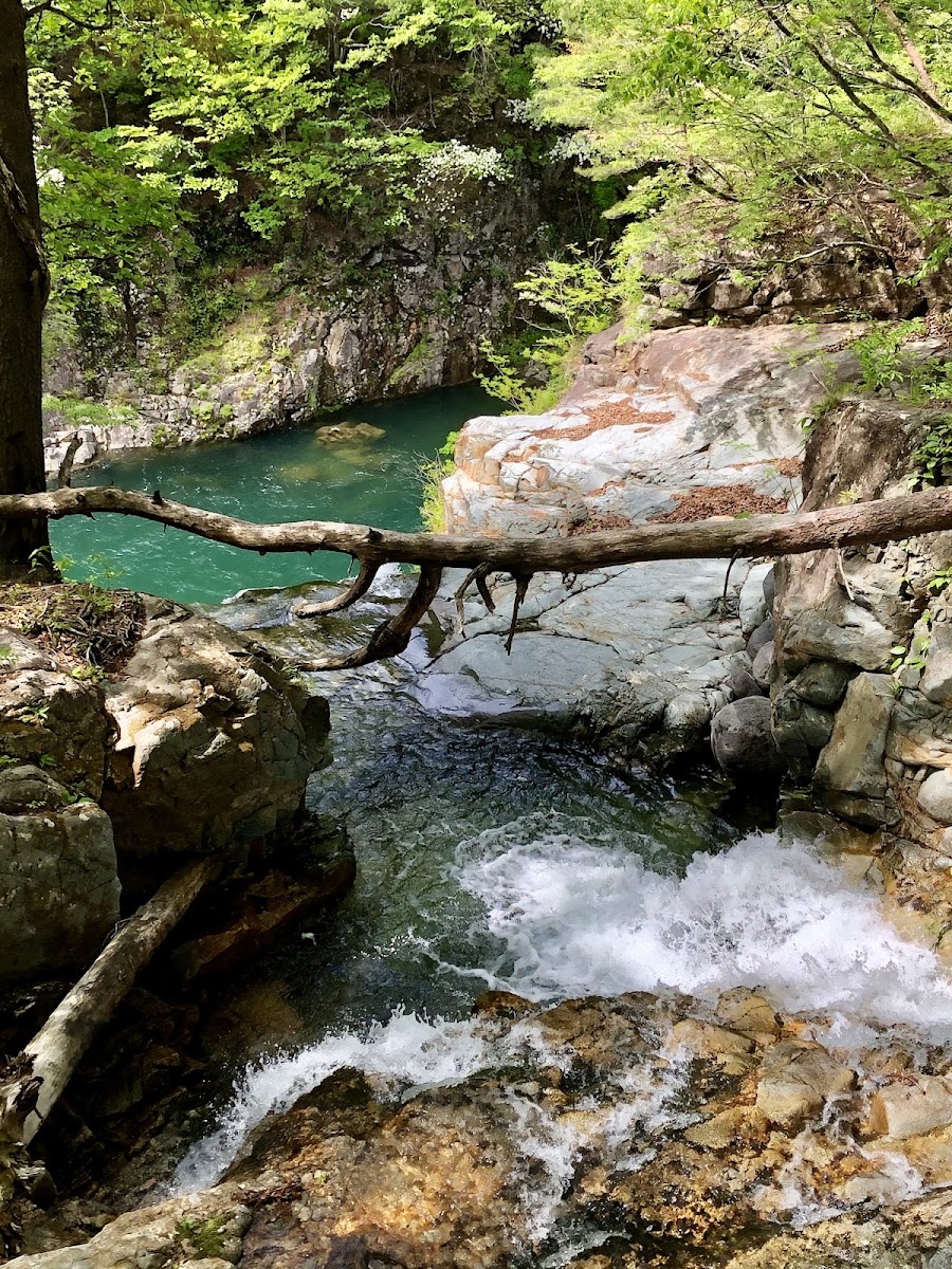 龍王峽(龍王峡) 實景照片 6