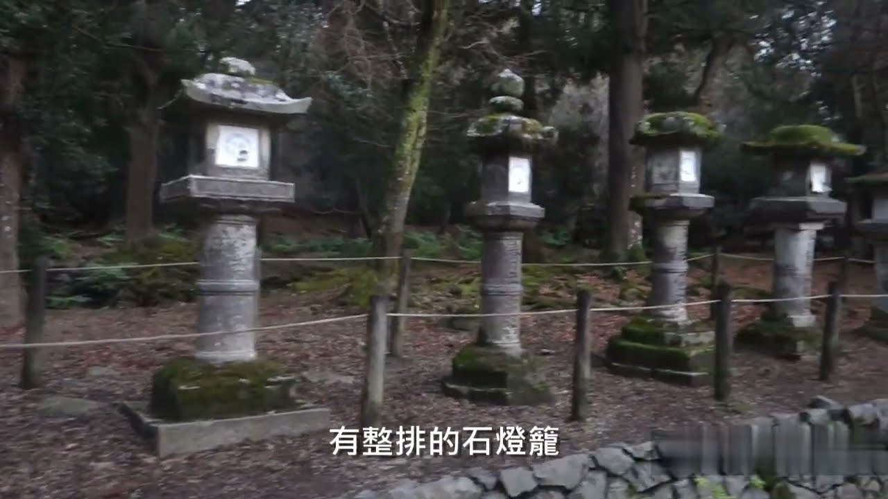 奈良 攻略 觀光 鹿 東大寺 春日大社 奈良景點 奈良公園 近鐵奈良站 一日遊