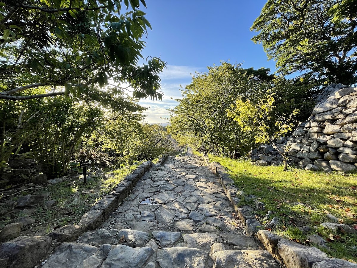 今歸仁城跡(今帰仁城跡) 實景照片 9