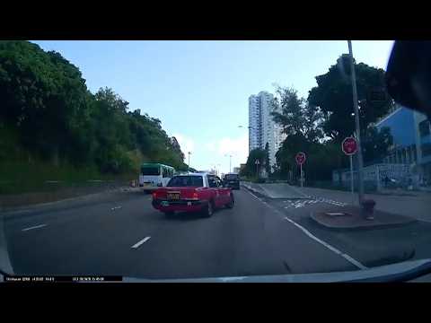 車CAM直擊 - 的士狗的日常！活在自己世界
