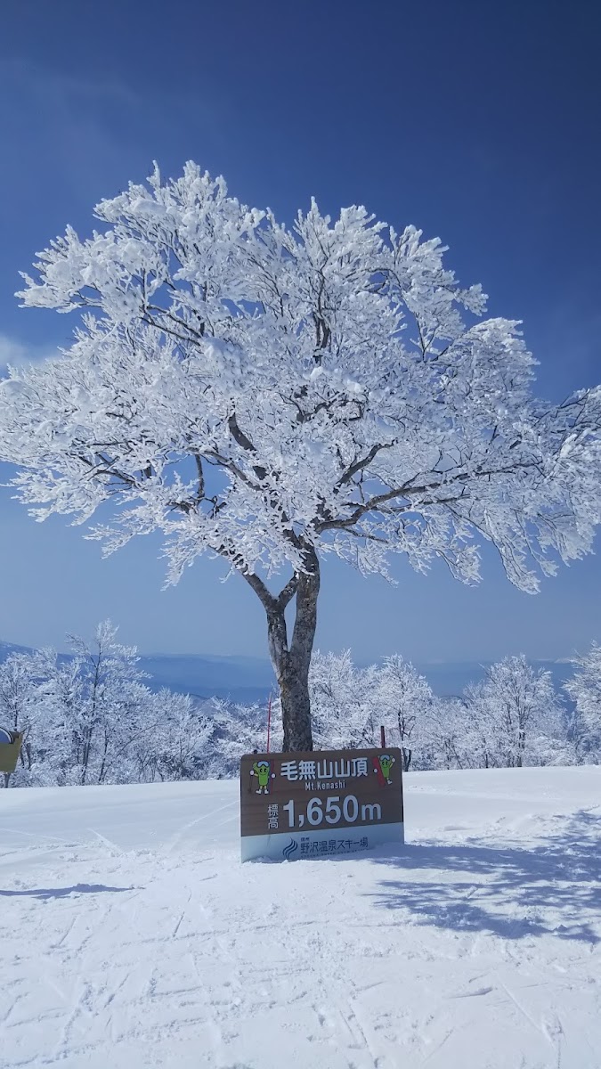 野澤溫泉滑雪場（野沢温泉スキー場） 實景照片 8