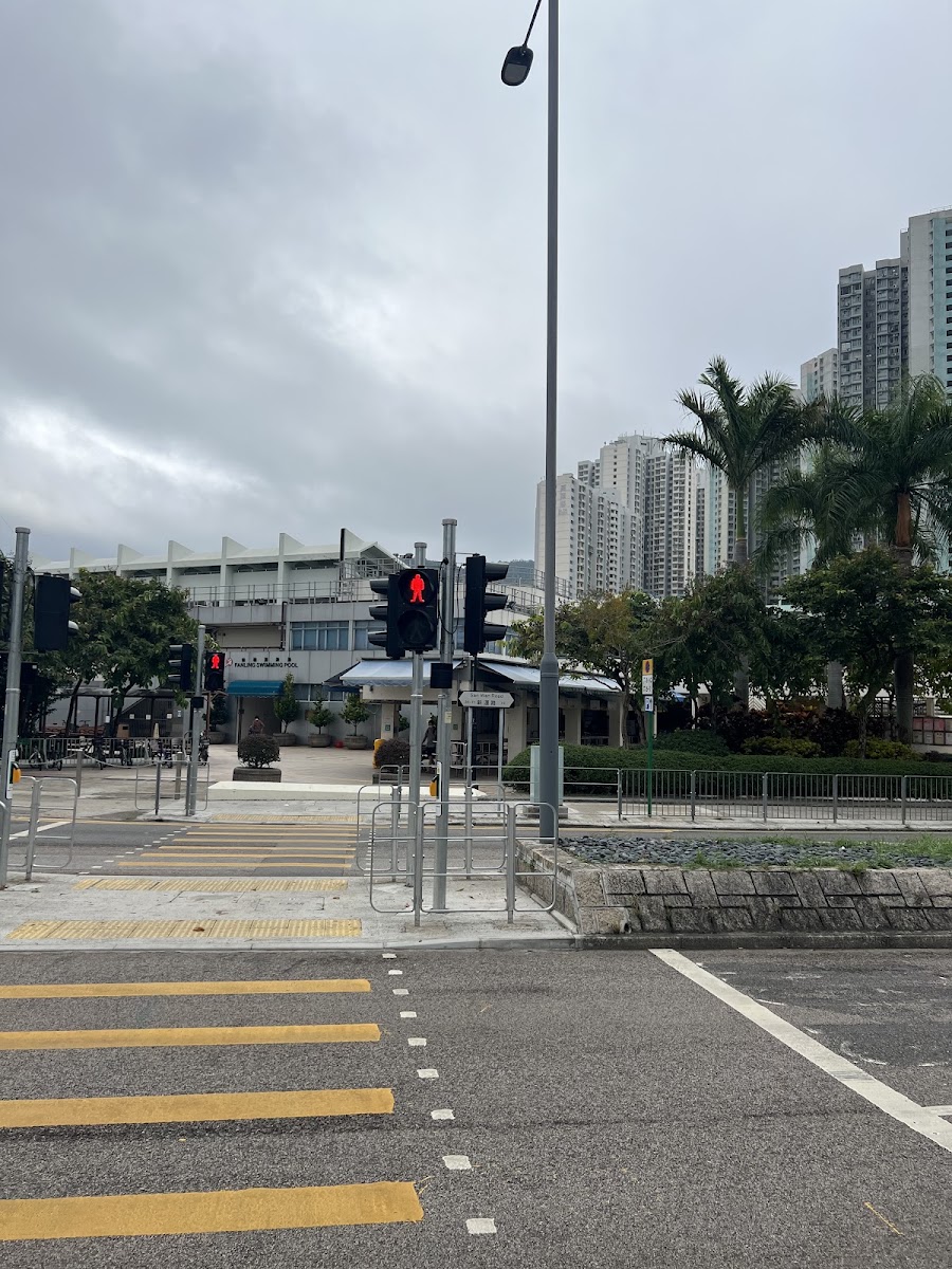 粉嶺游泳池停車場 實景照片 6