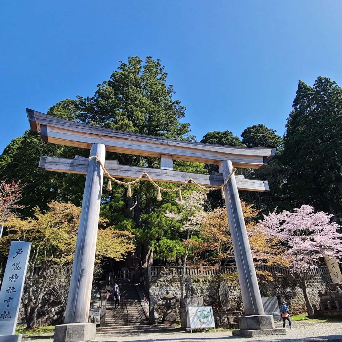 妙高戶隱連山國家公園(妙高戸隠連山国立公園) 實景照片 8