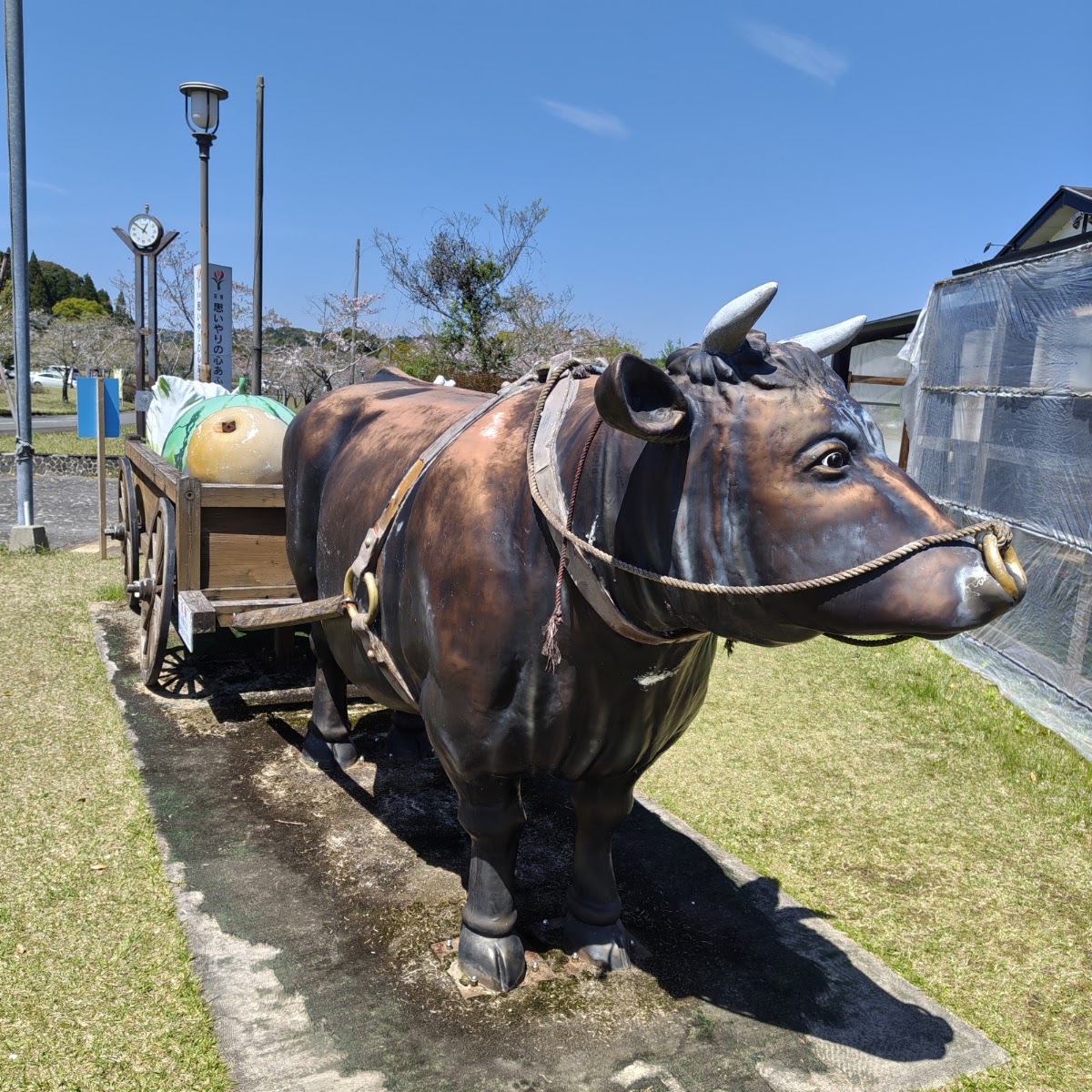 道之驛 大隅彌五郎傳說之里(道の駅 おおすみ弥五郎伝説の里) 實景照片 8